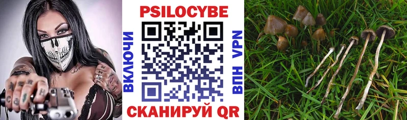 Галлюциногенные грибы Psilocybine cubensis  купить наркотики цена  Андреаполь 